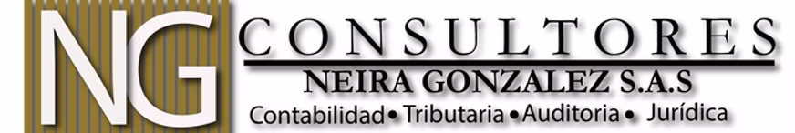 Consultores Neira González S.A.S